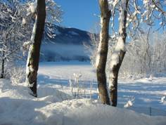 Giardino%20di%20neve%20e%20gelo